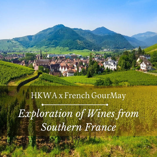 Exploration of Wines from Southern France