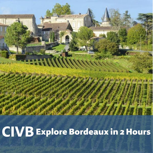 CIVB Explore Bordeaux in 2 Hours