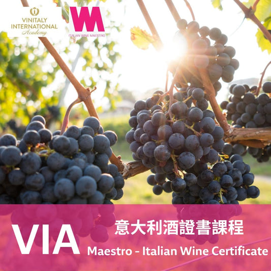 VIA Italian Wine Maestro Certification Course
