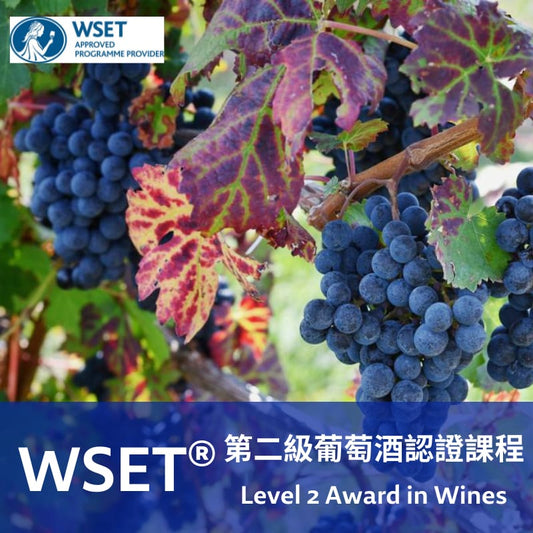 WSET 葡萄酒第二級認證課程