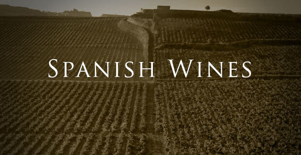 Spanish Wine Workshop (全方位西班牙葡萄酒探索工作坊)